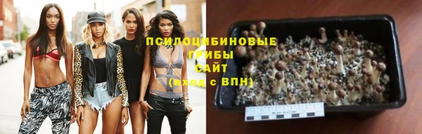 ГАЛЛЮЦИНОГЕННЫЕ ГРИБЫ Белокуриха