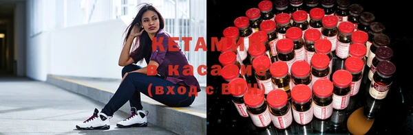 ГАЛЛЮЦИНОГЕННЫЕ ГРИБЫ Белокуриха