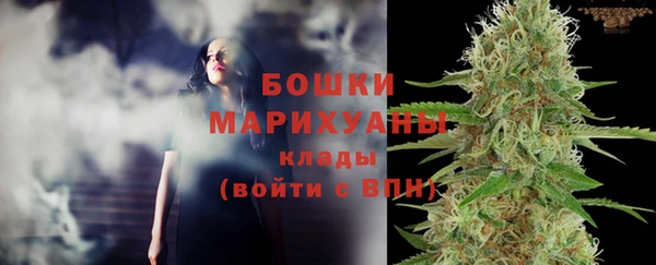 ГАЛЛЮЦИНОГЕННЫЕ ГРИБЫ Белокуриха