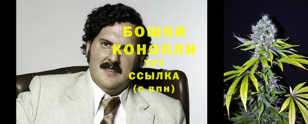 гидра Белоозёрский
