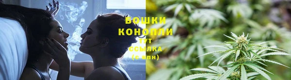 гидра Белоозёрский