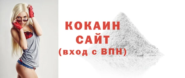 прущие грибы Саяногорск