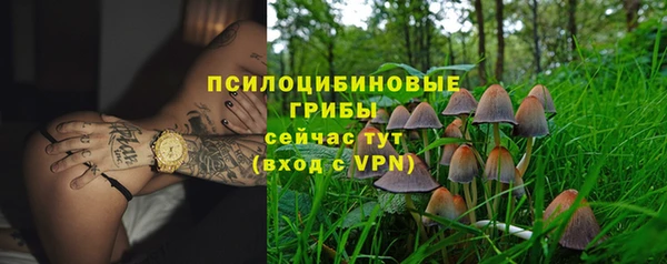 хмурый Сафоново
